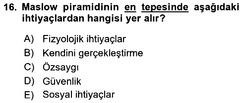 Psikoloji 2021-2022 Dönem Sonu Sınavı - 16. soru