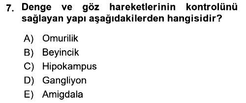 Psikoloji 2020-2021 Yaz Okulu Sınavı - 7. soru