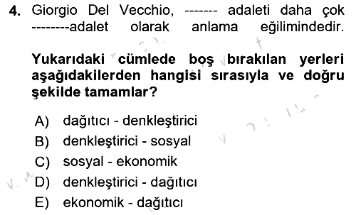 Siyaset Felsefesi 2 2024-2025 Dönem Sonu Sınavı - 4. soru