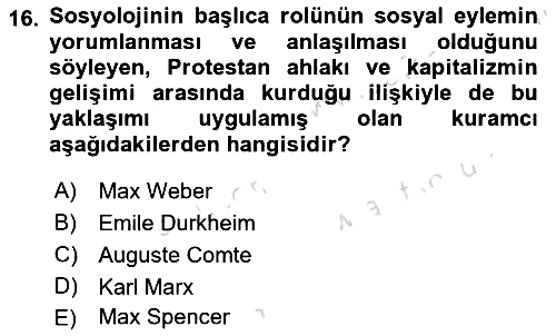 Sosyal Bilimlerde Temel Kavramlar 2019-2020 Ara Sınav - 16. soru