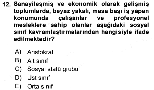 Sosyal Bilimlerde Temel Kavramlar 2016-2017 Dönem Sonu Sınavı - 12. soru
