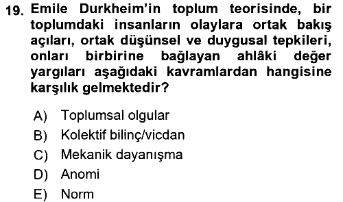 Sosyal Bilimlerde Temel Kavramlar 2016-2017 Dönem Sonu Sınavı - 19. soru