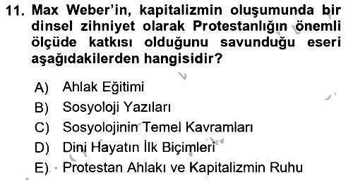 Sosyal Bilimlerde Temel Kavramlar 2018-2019 Yaz Okulu Sınavı - 11. soru