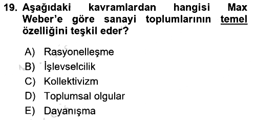 Sosyal Bilimlerde Temel Kavramlar 2022-2023 Yaz Okulu Sınavı - 19. soru