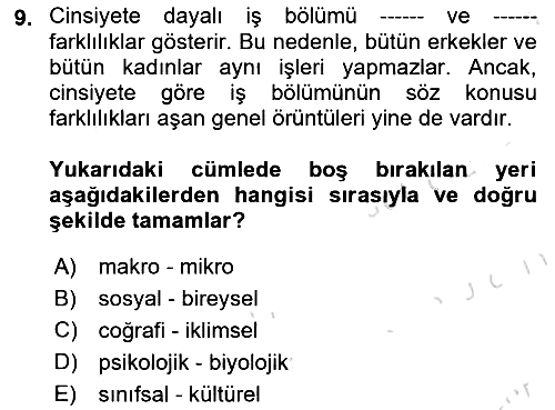 Sosyal Bilimlerde Temel Kavramlar 2024-2025 Yaz Okulu Sınavı - 9. soru