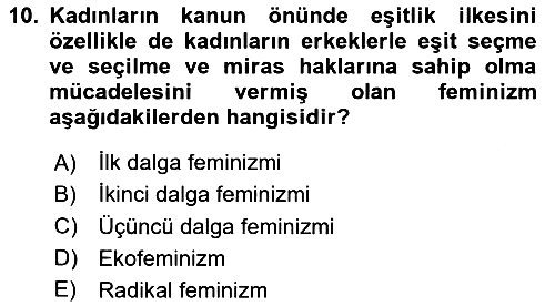 Sosyal Bilimlerde Temel Kavramlar 2024-2025 Yaz Okulu Sınavı - 10. soru