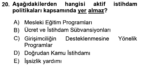 Sosyal Politika 2018-2019 Ara Sınav - 20. soru