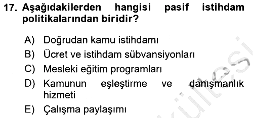 Sosyal Politika 2025-2026 Ara Sınav - 17. soru