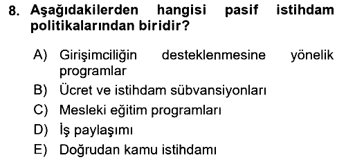 Sosyal Politika 2019-2020 Dönem Sonu Sınavı - 8. soru