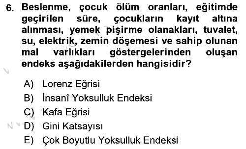 Sosyal Politika 2020-2021 Yaz Okulu Sınavı - 6. soru