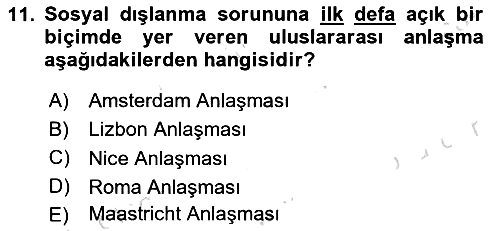 Sosyal Politika 2023-2024 Yaz Okulu Sınavı - 11. soru