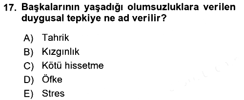 Sosyal Psikoloji 1 2018-2019 Dönem Sonu Sınavı - 17. soru