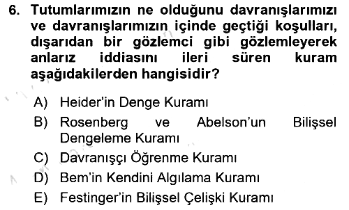 Sosyal Psikoloji 1 2021-2022 Dönem Sonu Sınavı - 6. soru