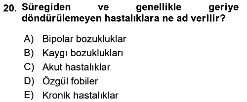 Sosyal Psikoloji 2 2018-2019 3 Ders Sınavı - 20. soru