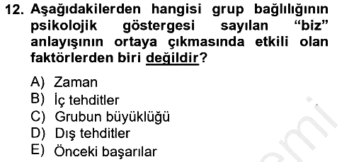 Sosyal Psikoloji 2 2012-2013 Ara Sınav - 12. soru