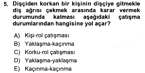 Sosyal Psikoloji 2 2017-2018 Ara Sınav - 5. soru