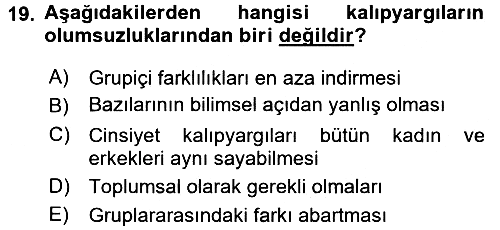 Sosyal Psikoloji 2 2015-2016 Dönem Sonu Sınavı - 19. soru