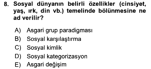 Sosyal Psikoloji 2 2016-2017 Dönem Sonu Sınavı - 8. soru