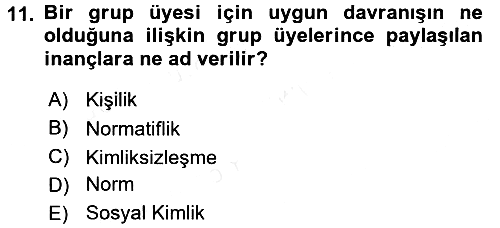 Sosyal Psikoloji 2 2017-2018 Dönem Sonu Sınavı - 11. soru
