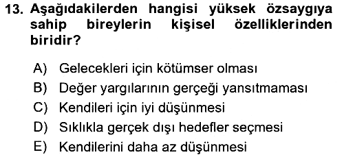Sosyal Psikoloji 2 2017-2018 Dönem Sonu Sınavı - 13. soru