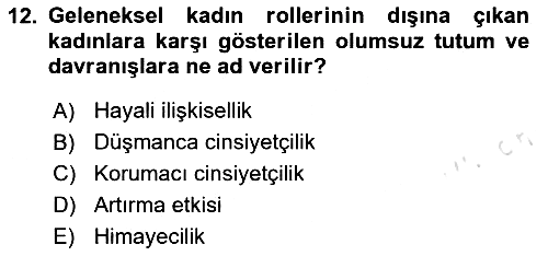 Sosyal Psikoloji 2 2023-2024 Dönem Sonu Sınavı - 12. soru
