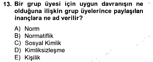 Sosyal Psikoloji 2 2014-2015 Tek Ders Sınavı - 13. soru