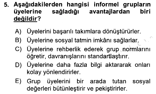 Sosyal Psikoloji 2 2022-2023 Yaz Okulu Sınavı - 5. soru