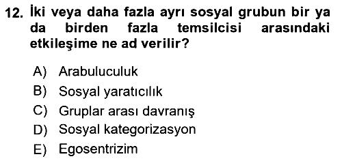 Sosyal Psikoloji 2 2023-2024 Yaz Okulu Sınavı - 12. soru