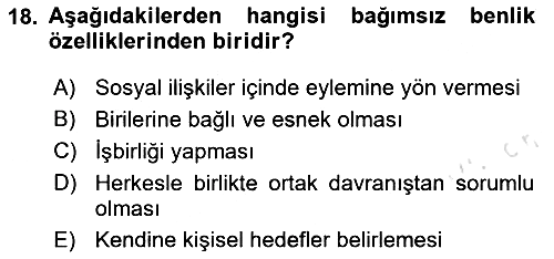 Sosyal Psikoloji 2 2023-2024 Yaz Okulu Sınavı - 18. soru
