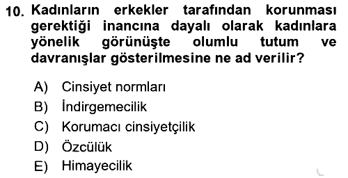 Sosyal Psikoloji 2 2024-2025 Dönem Sonu Sınavı - 10. soru