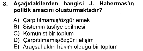 Sosyolojide Yakın Dönem Gelişmeler 2012-2013 Ara Sınav - 8. soru