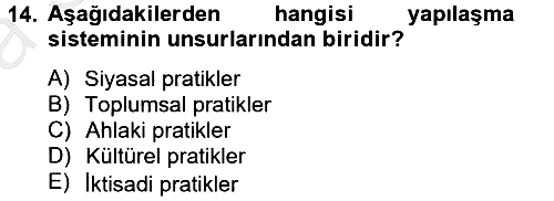 Sosyolojide Yakın Dönem Gelişmeler 2012-2013 Ara Sınav - 14. soru