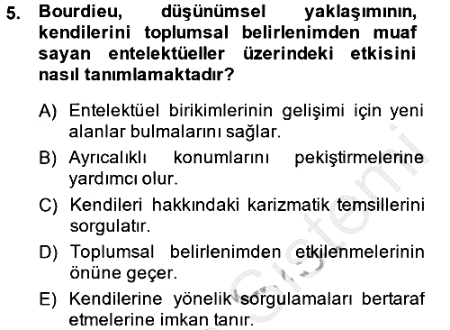 Sosyolojide Yakın Dönem Gelişmeler 2013-2014 Ara Sınav - 5. soru