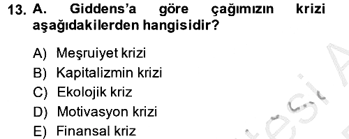Sosyolojide Yakın Dönem Gelişmeler 2014-2015 Ara Sınav - 13. soru