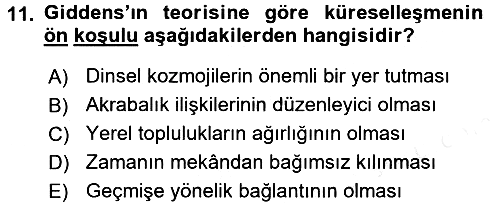 Sosyolojide Yakın Dönem Gelişmeler 2015-2016 Ara Sınav - 11. soru
