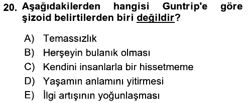 Sosyolojide Yakın Dönem Gelişmeler 2015-2016 Ara Sınav - 20. soru