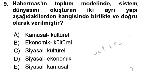 Sosyolojide Yakın Dönem Gelişmeler 2016-2017 Ara Sınav - 9. soru