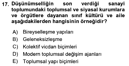 Sosyolojide Yakın Dönem Gelişmeler 2024-2025 Ara Sınav - 17. soru