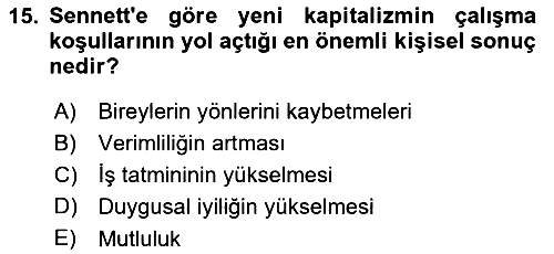 Sosyolojide Yakın Dönem Gelişmeler 2023-2024 Yaz Okulu Sınavı - 15. soru