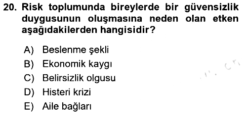 Sosyolojide Yakın Dönem Gelişmeler 2025-2026 Ara Sınav - 20. soru