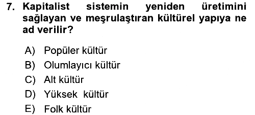 Sosyolojiye Giriş 2015-2016 Dönem Sonu Sınavı - 7. soru