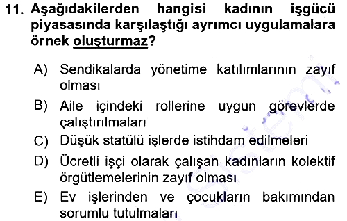 Sosyolojiye Giriş 2015-2016 Dönem Sonu Sınavı - 11. soru
