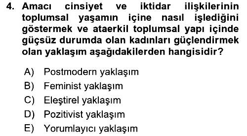 Sosyolojiye Giriş 2016-2017 Dönem Sonu Sınavı - 4. soru