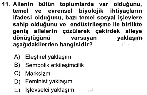 Sosyolojiye Giriş 2024-2025 Dönem Sonu Sınavı - 11. soru