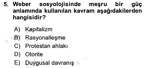 Sosyolojiye Giriş 2023-2024 Yaz Okulu Sınavı - 5. soru