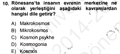 Tarih Felsefesi 1 2014-2015 Dönem Sonu Sınavı - 10. soru