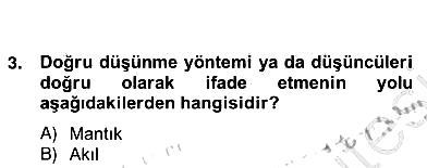 Tarih Felsefesi 2 2012-2013 Ara Sınav - 13. soru
