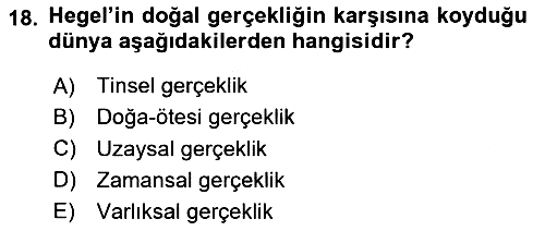 Tarih Felsefesi 2 2023-2024 Ara Sınav - 18. soru