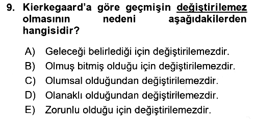 Tarih Felsefesi 2 2018-2019 Dönem Sonu Sınavı - 9. soru