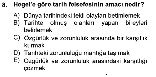 Tarih Felsefesi 2 2014-2015 Tek Ders Sınavı - 8. soru